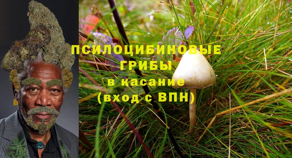 бутират Алзамай