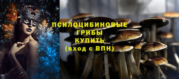 прущий лед Алексин