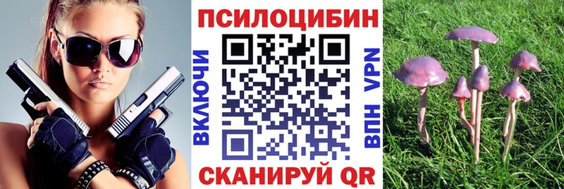 Галлюциногенные грибы мухоморы  Жиздра 